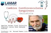 Cambios Cardiovasculares y Sanguíneos