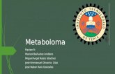 Metaboloma CORREGIDA