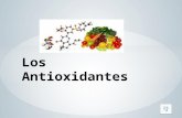 Los Antioxidantes