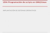 ISO UD6 Scripting en GNU Linux