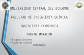 Ing. Economica