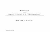Hector Di Caro - Tabla Derivadas Integrales