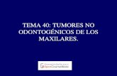tumores no malignos