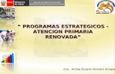 5 Programas Estrategicos 2011 APS Renovada