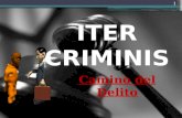 ITER CRIMINIS
