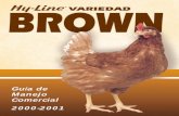 Linea Brown 2000