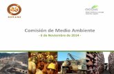Presentación Comite Medio Ambiente SONAMI 6 noviembre 2014.pdf