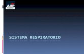 Sistema Respiratorio [1] 2015.ppt