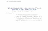 deshidratacion mediante absorcin y adsorcion.pdf