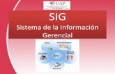 SISTEMA DE LA INFORMACION GERENCIAL Previo 1.pdf