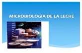 Microbiología de La Leche