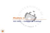 ISO 9001 RESUMEN