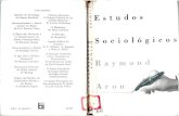 ARON, Raymond. Estudos Sociológicos