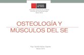 3. Osteologia y Musculos Del Se