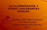 2 Fluoresceina y Otros 2012