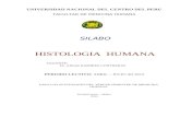 Silab Histologia Humana 2015 - 1