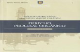 Héctor Oberg Yáñez-manual Derecho Procesal Organico