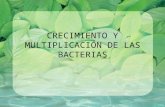 7.- Crecimiento y Multiplicaciã“n de Las Bacterias
