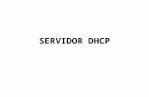Manual instalación DHCP