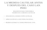 IV Congreso Peruano de Derecho Procesal Civil - Piura 2011