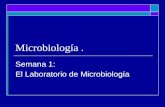 1. El Laboratorio de Microbiología