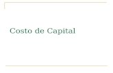 Costo de Capital 20091