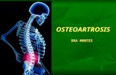 Osteartrosis Semiologia