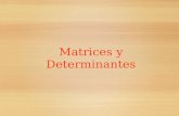 matrices y determinantes.ppt
