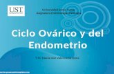 Ciclo Ovarico y control hormonal