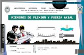 Expo Miembros de Flexion y Fuerza Axial