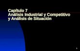 Cap 7. Analisis Industrial y competitivo.ppt