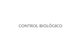 Control Biológico en plagas