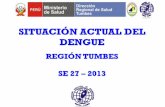 Situación Del Dengue SE27-2013