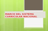 Fundamentos Generales Del Marco Del Sistema Curricular Nacional