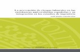 Cortés - La Prevención de Riesgos Laborales en Las Enseñanzas Universitarias Españolas y Su Integ...