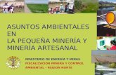 Asuntos Ambient.mineria Artesanal