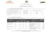 Informes Ips Caprecom Arauca Enero-julio 2011