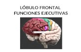 Lobulo Frontal - Funciones Ejecutivas