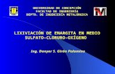 LIXIVIACION DE ENARGITA EN MEDIO SULFATO-CLORURO-OXIGENO.ppt
