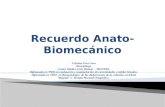 2 Consideraciones Anato-biomecanicas