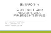 Parasitosis Intestinal y Hepática. Absceso Hepático