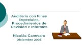 Auditoria Con Fines Especiales