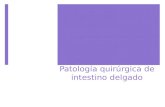 Patologia Quirurgica de Intestino Delgado