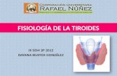 1 Fisiología de La Tiroides