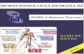 II Unidad Morfofisiologia III Completa Samuel Reyes