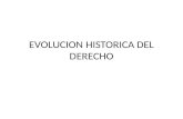 Evolucion Historica Del Derecho Sistemas y Ramas