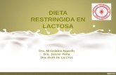 Dieta Restringida en Lactosa (1)