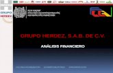 Presentación Analisis Financiero Grupo Herdez