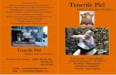 Catalogo Tenerife Piel PDF
