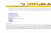 Server Bulma-2349